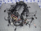 Электропроводка двигателя (коса моторная) BMW X5 I (E53) 7855
