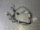 Электропроводка обшивки двери задней левой/правой Audi Q7 8834