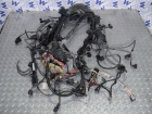 Электропроводка двигателя (коса моторная) BMW X5 I (E53) 7855